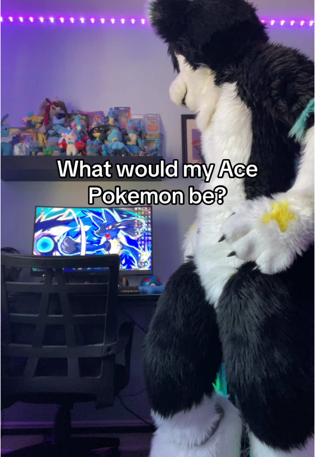 @⭐️KiwiFurSure⭐️