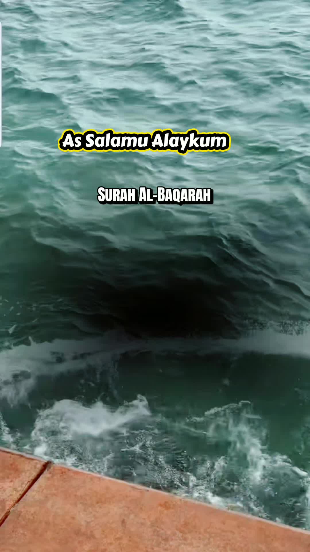 @Halima