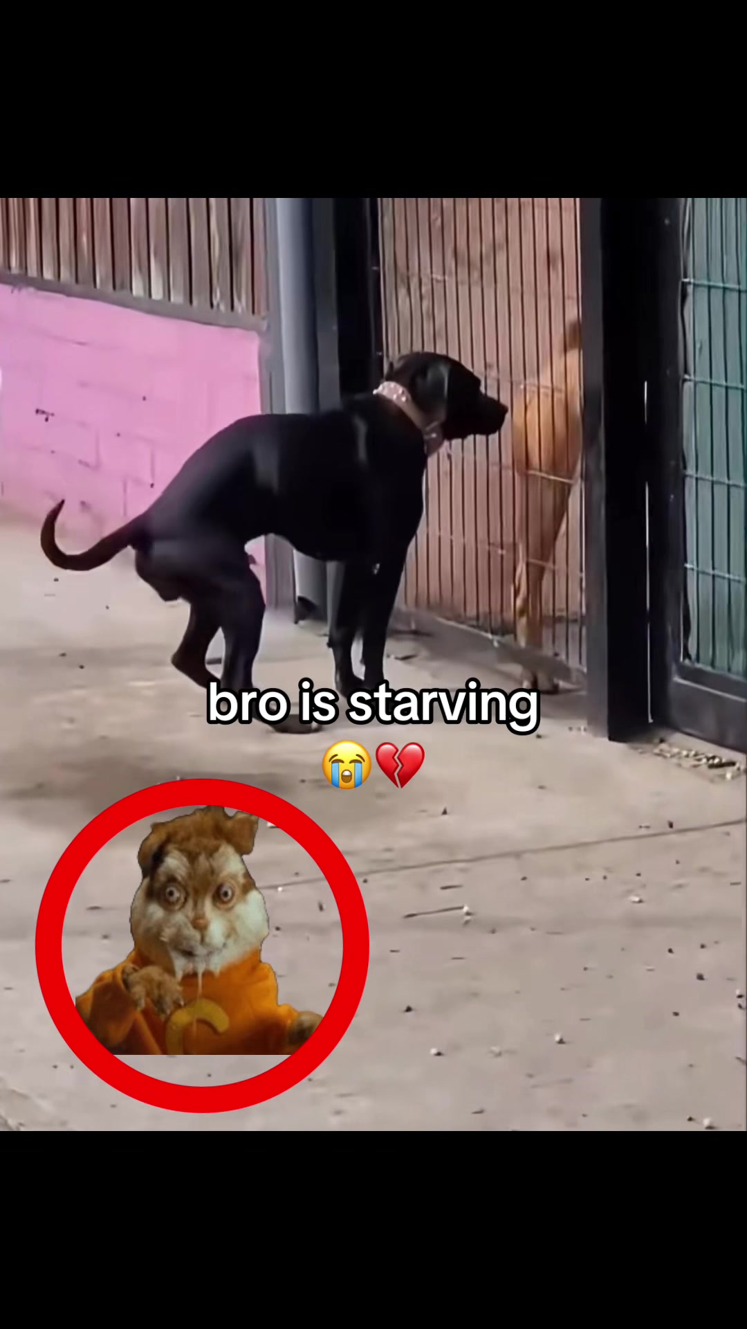 @bababooy1.2