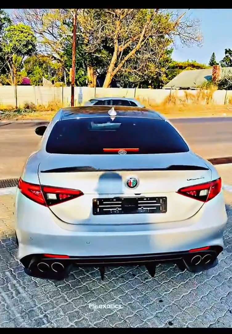 @PLK Exotics
