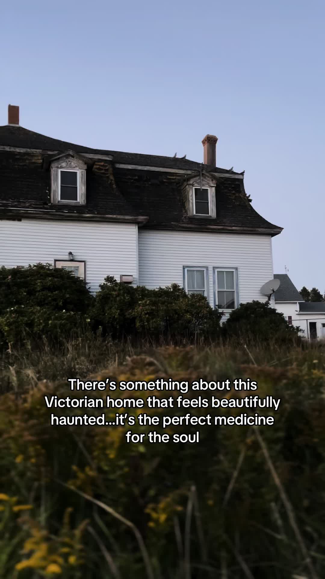 @Chels🧿🇨🇦