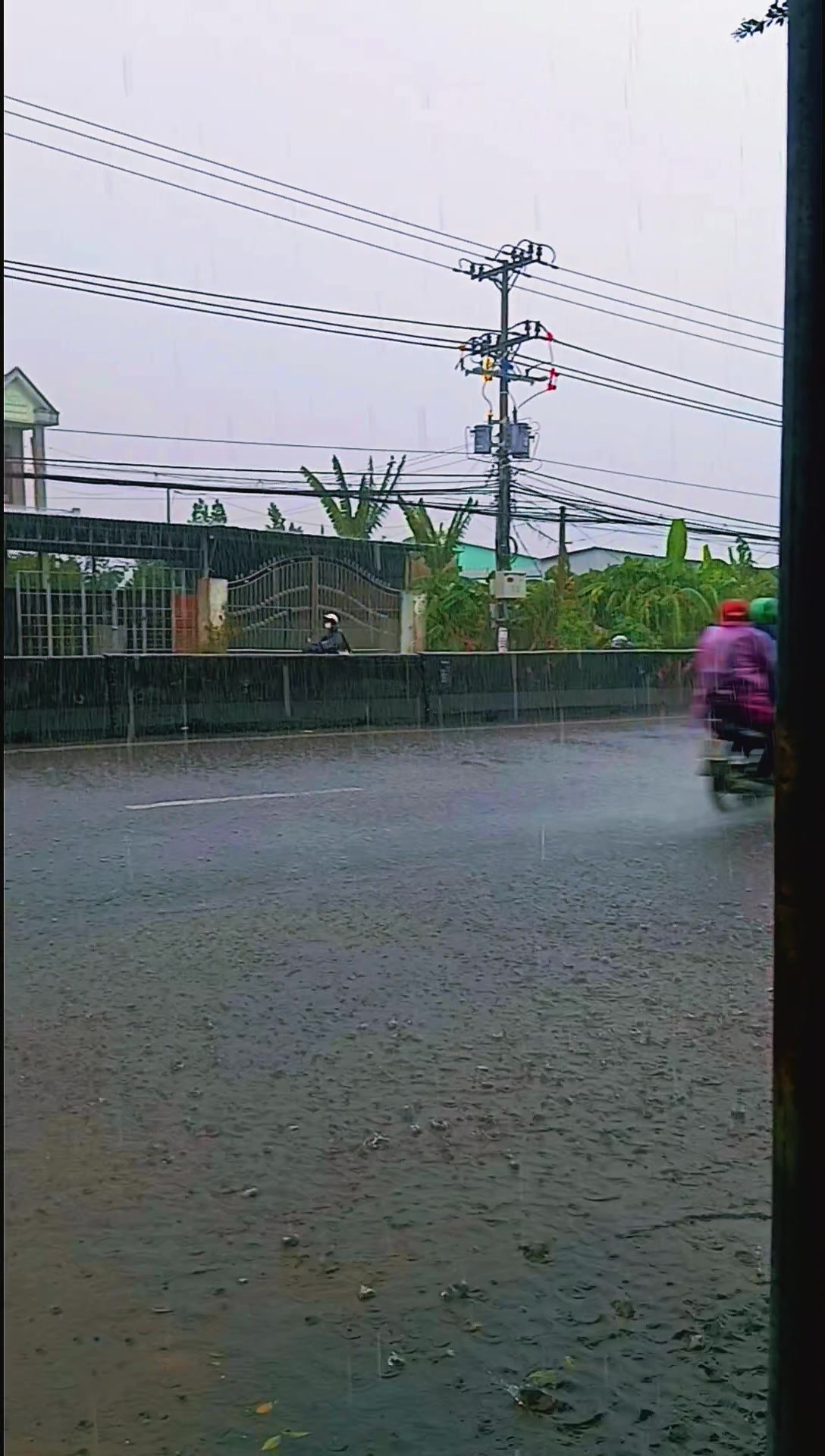 @Thanh_Nguyet
