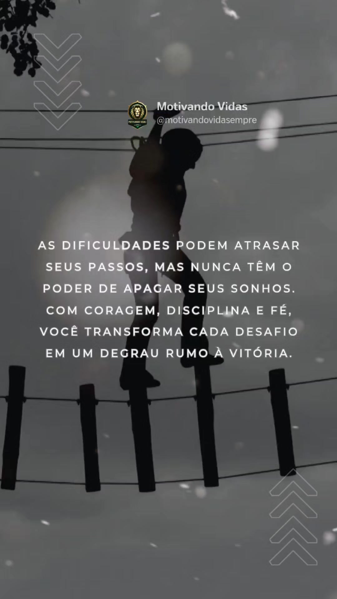 @Motivando Vidas