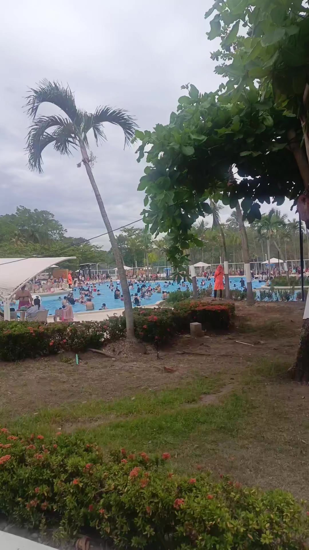 @Aldemar Palomino