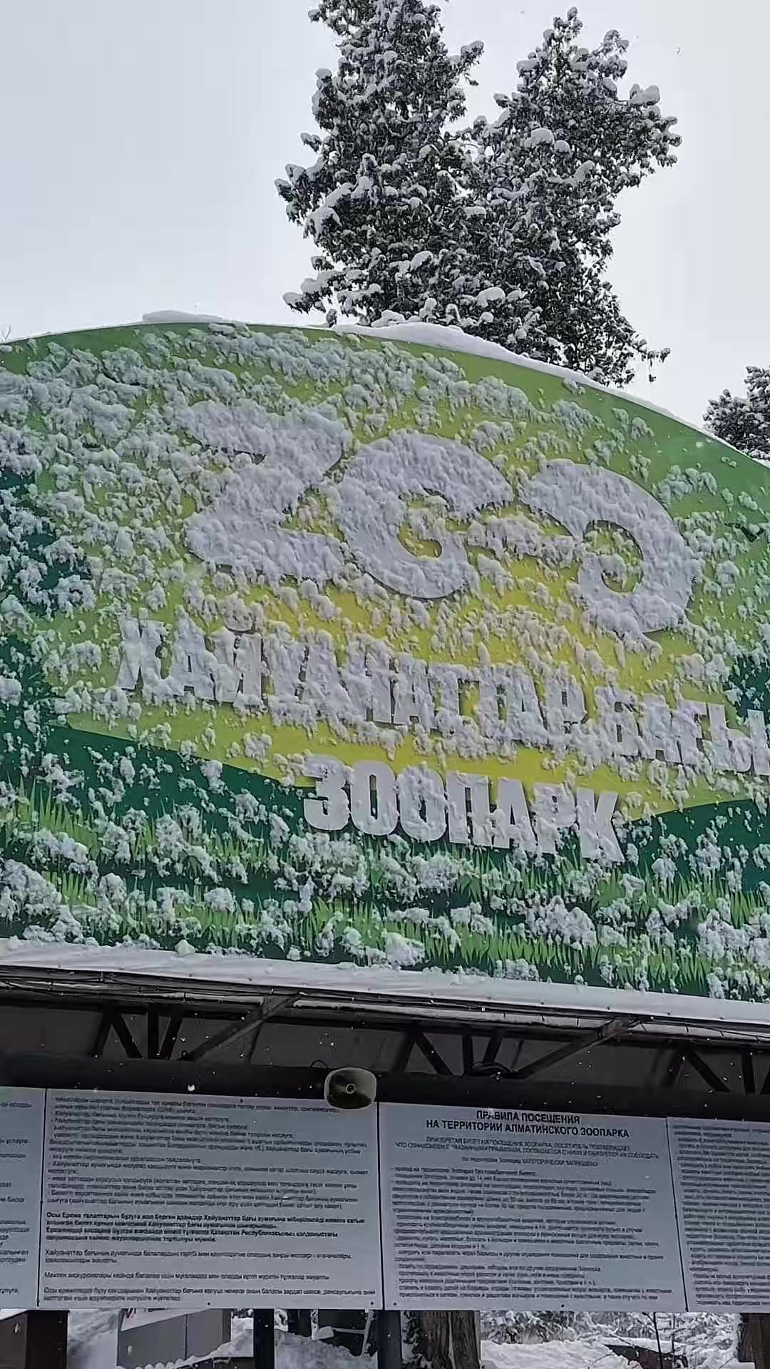 @Алматинский зоопарк