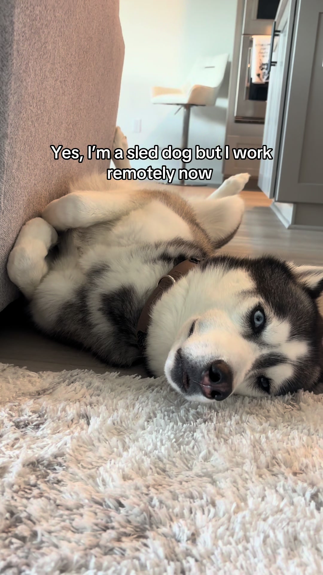 @lifewith2huskies