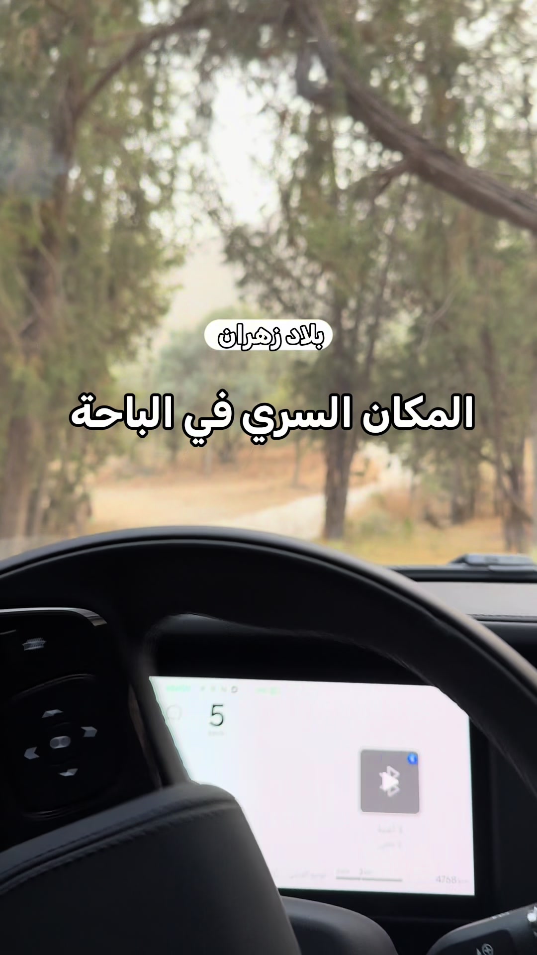 @محمد الشحي ✈️🇦🇪