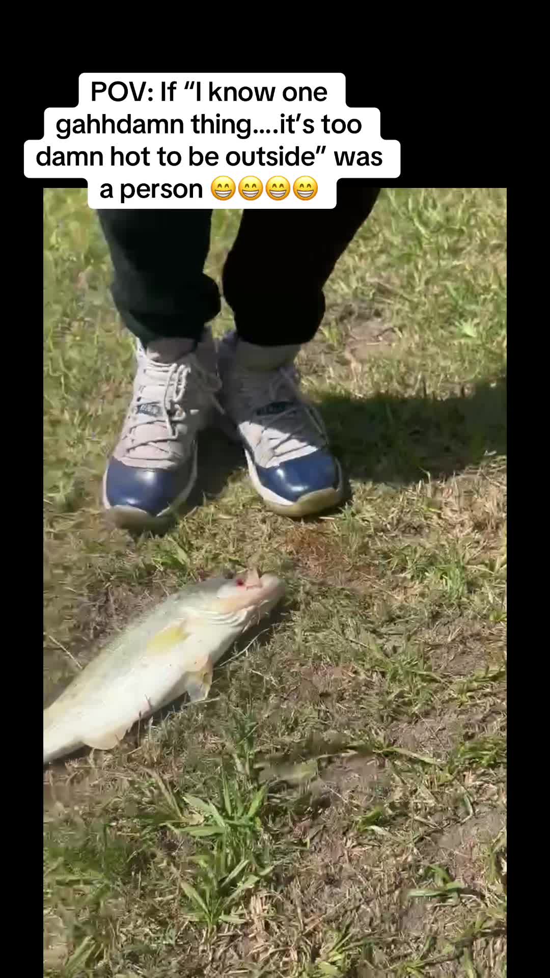 @Mik