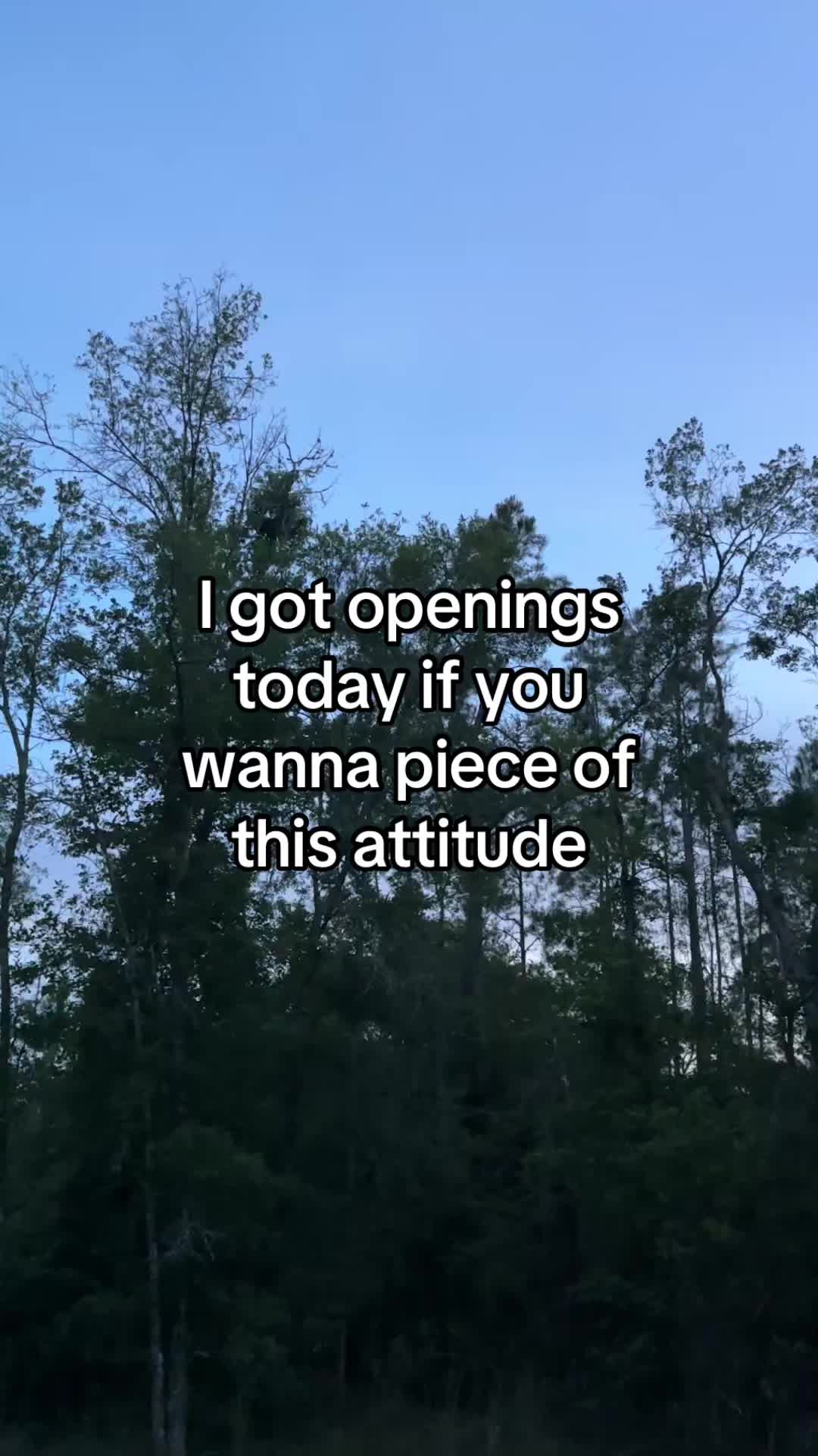 @Amylynn1272