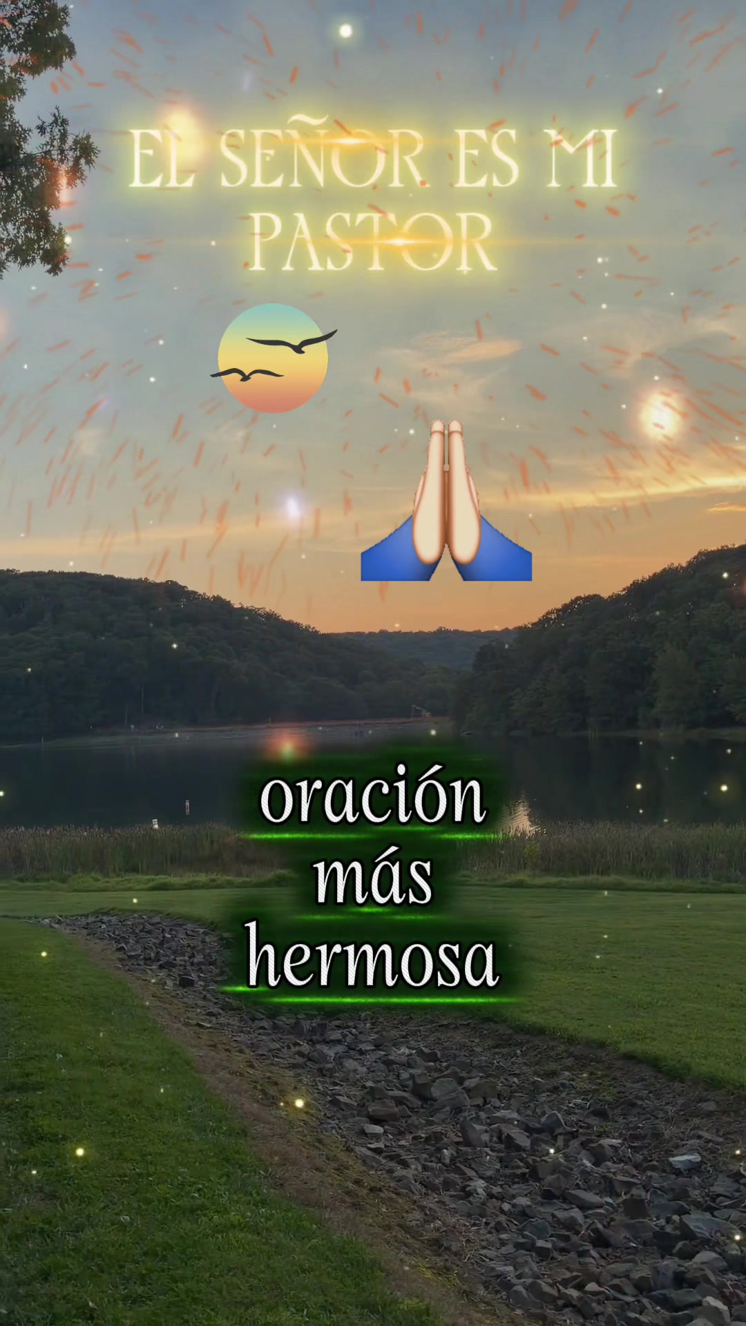 @Maynor Vicente
