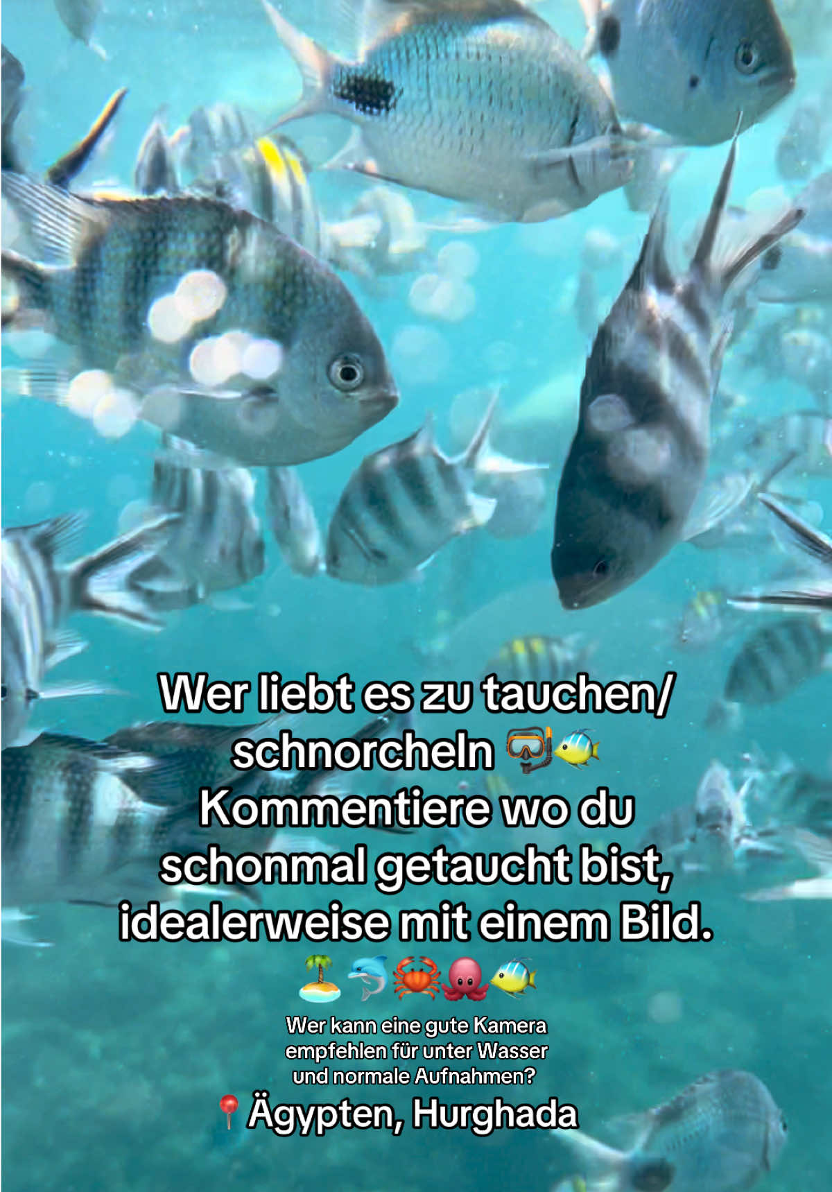 @UrlaubMitXP