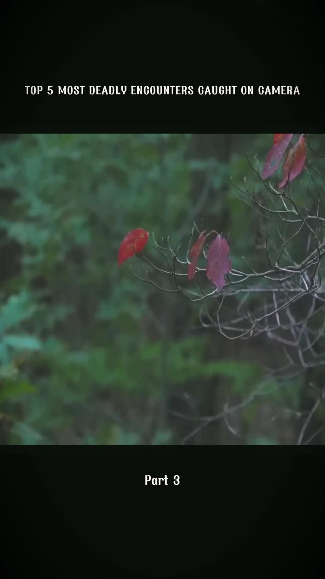 @CreepyStories