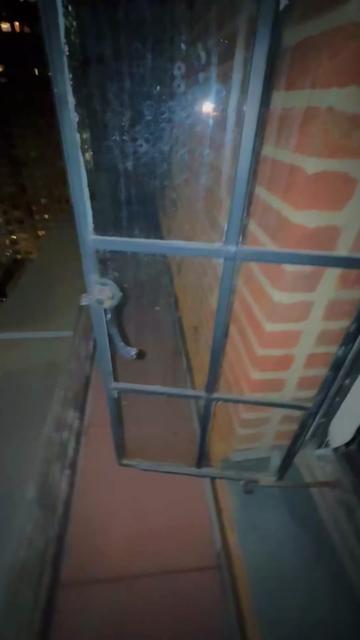 @Lia Charry 🍒