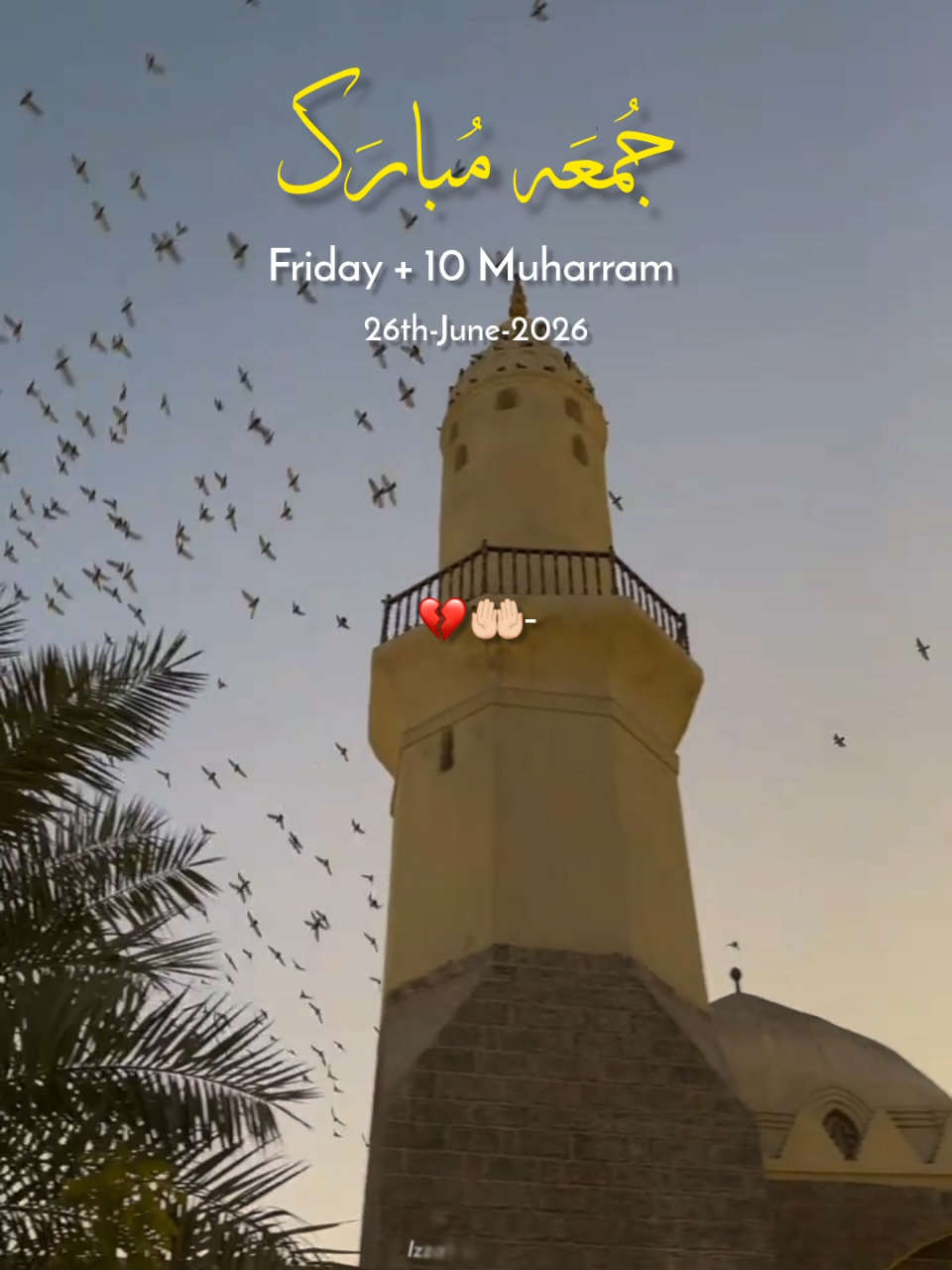 @𝙄 𝙕 𝙕 𝘼 𝙃 🕊️•