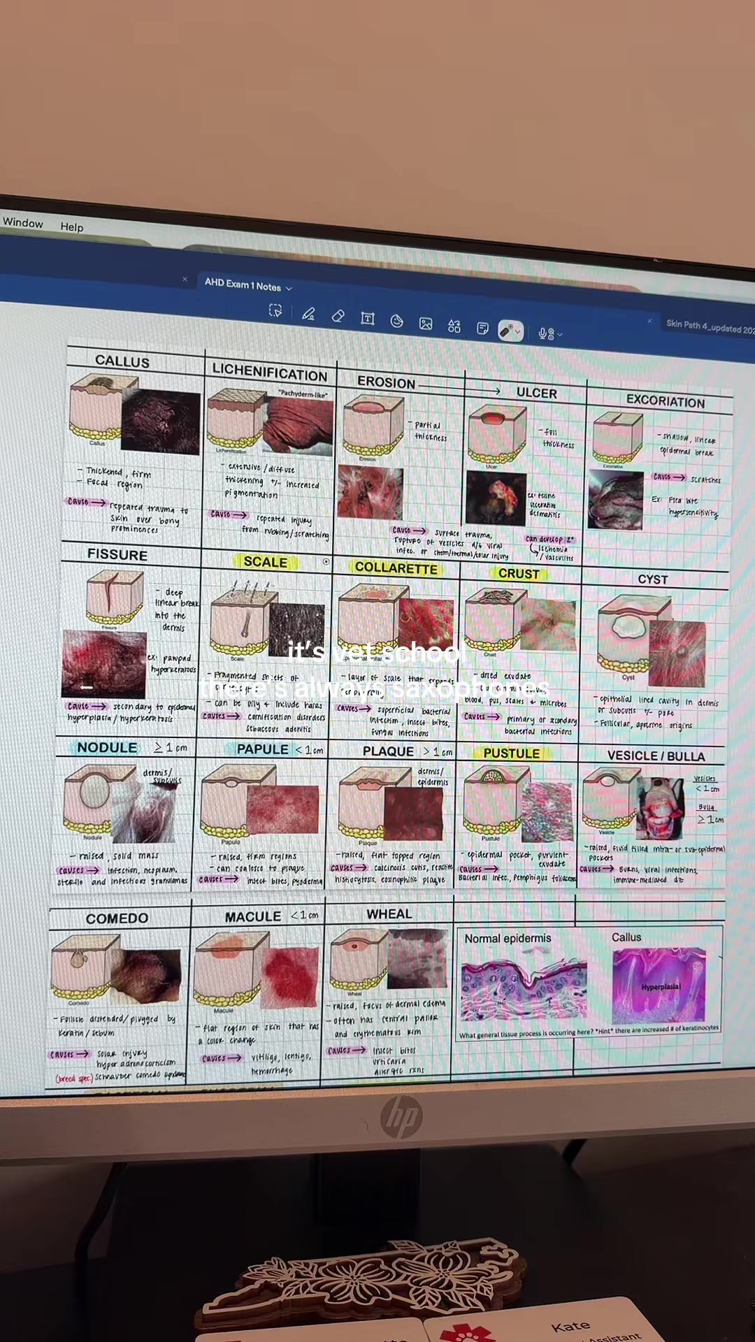 @heyamigainvetschool