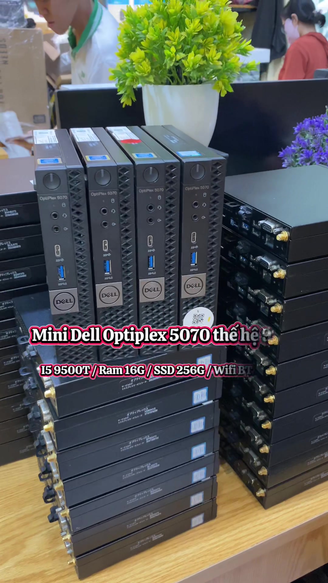 @Quỳnh Anh - TP Store