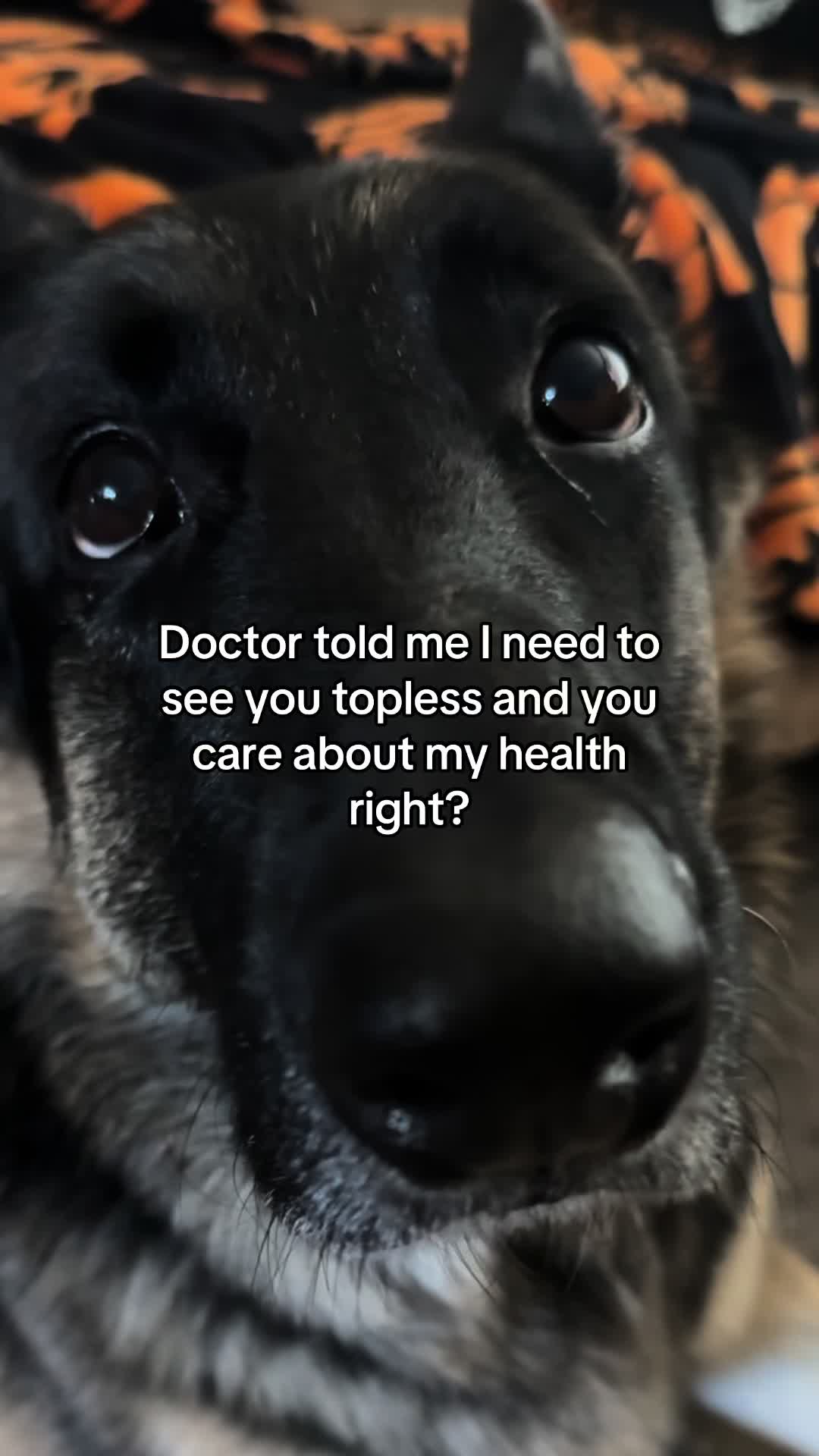@Bhris