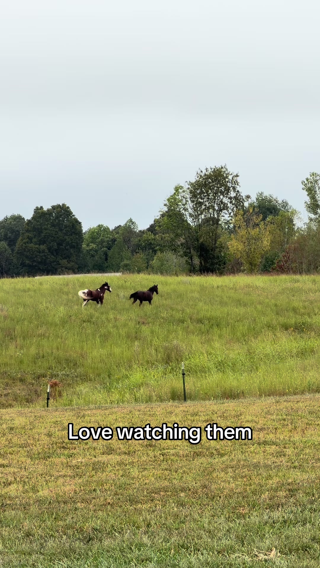 @Ally | Farm Wife