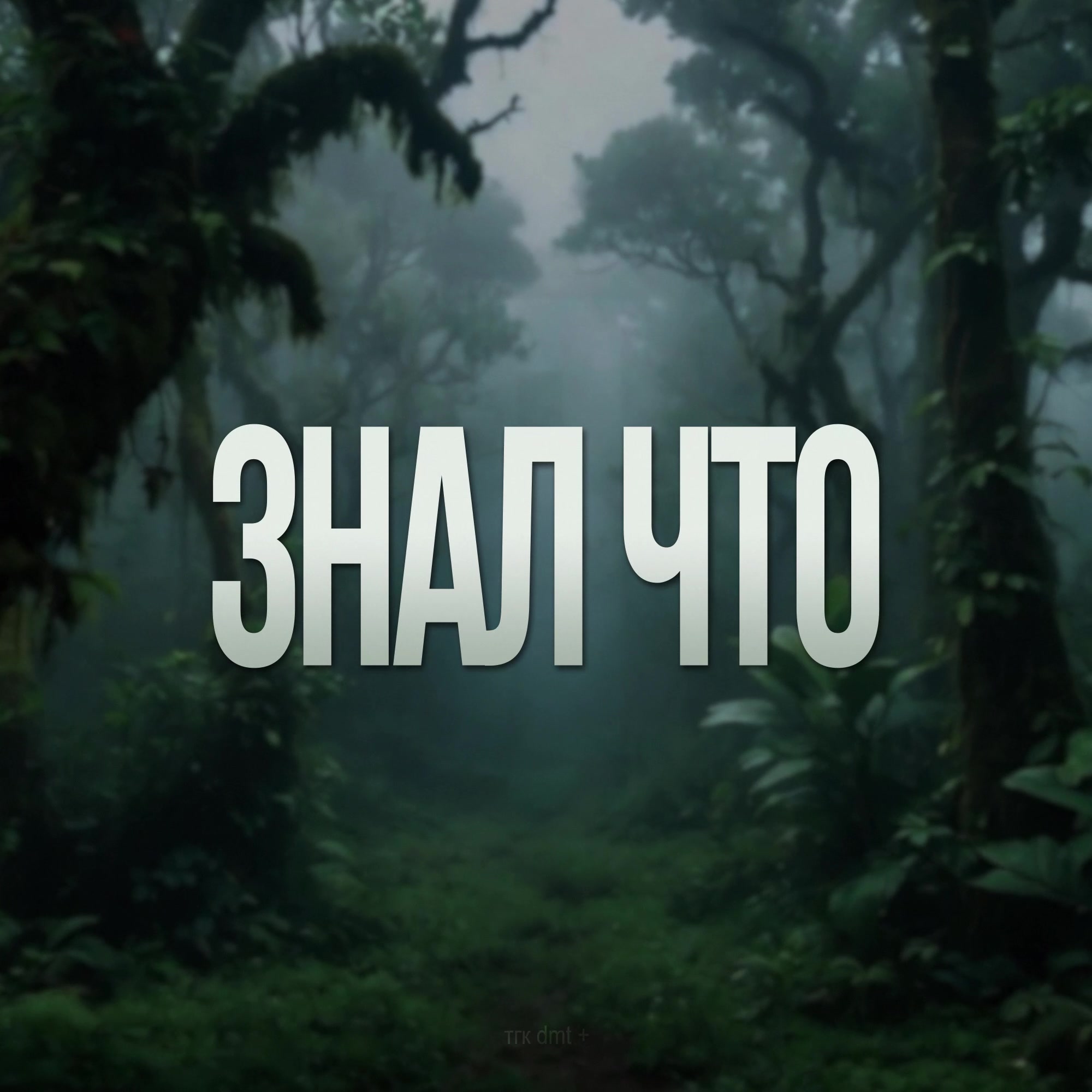 @dmt +