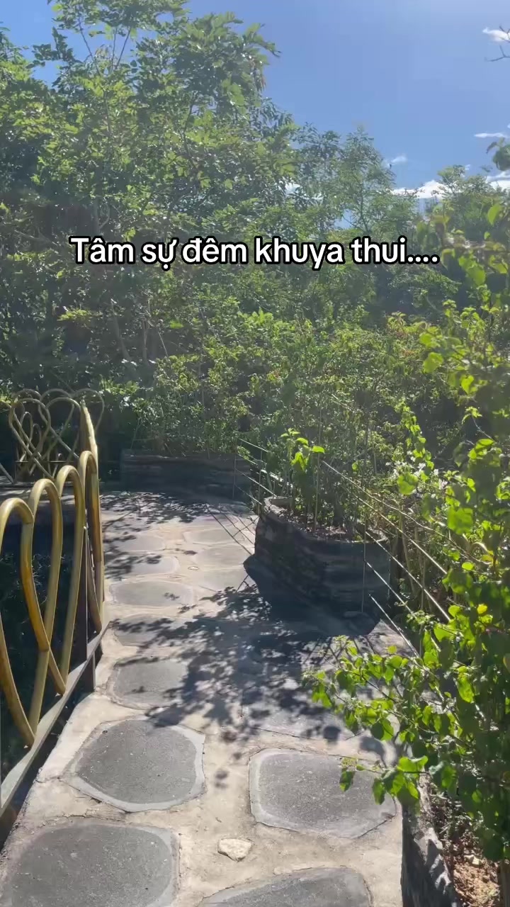 @Mquanhjhj
