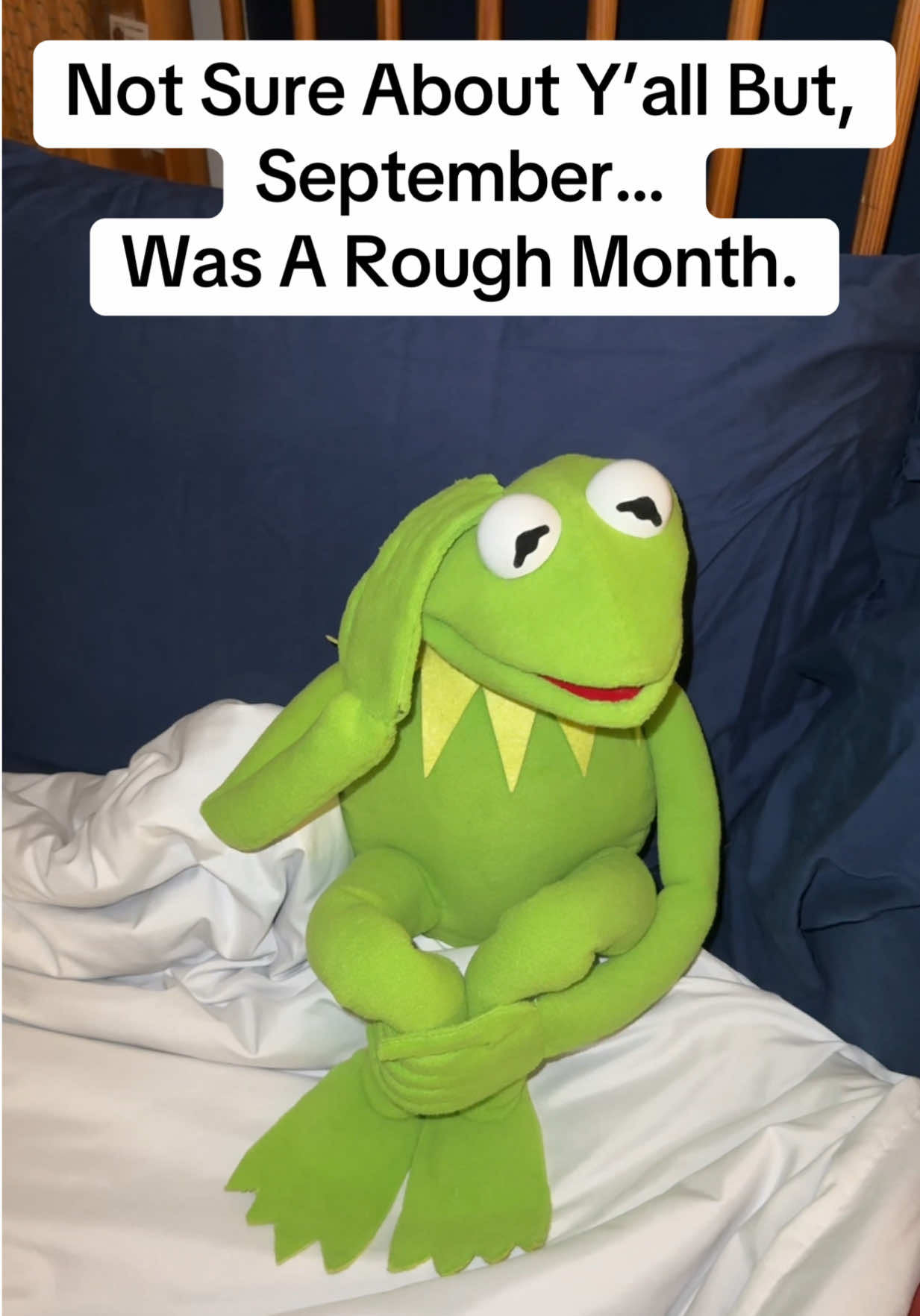 @Kermitthepuppet