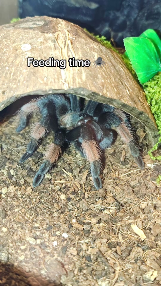 @Magdalena® 🕷️🐍🦂🪴