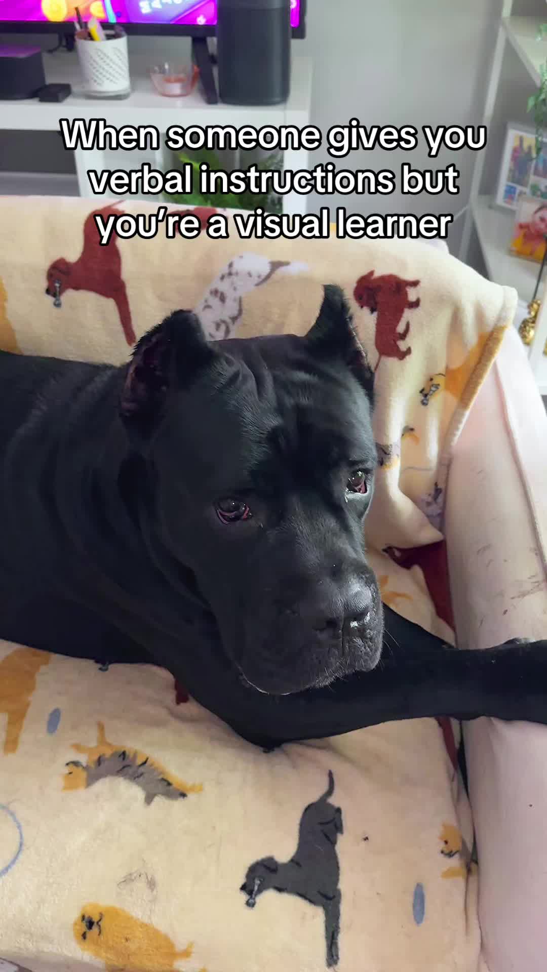 @Bentley Has Issues