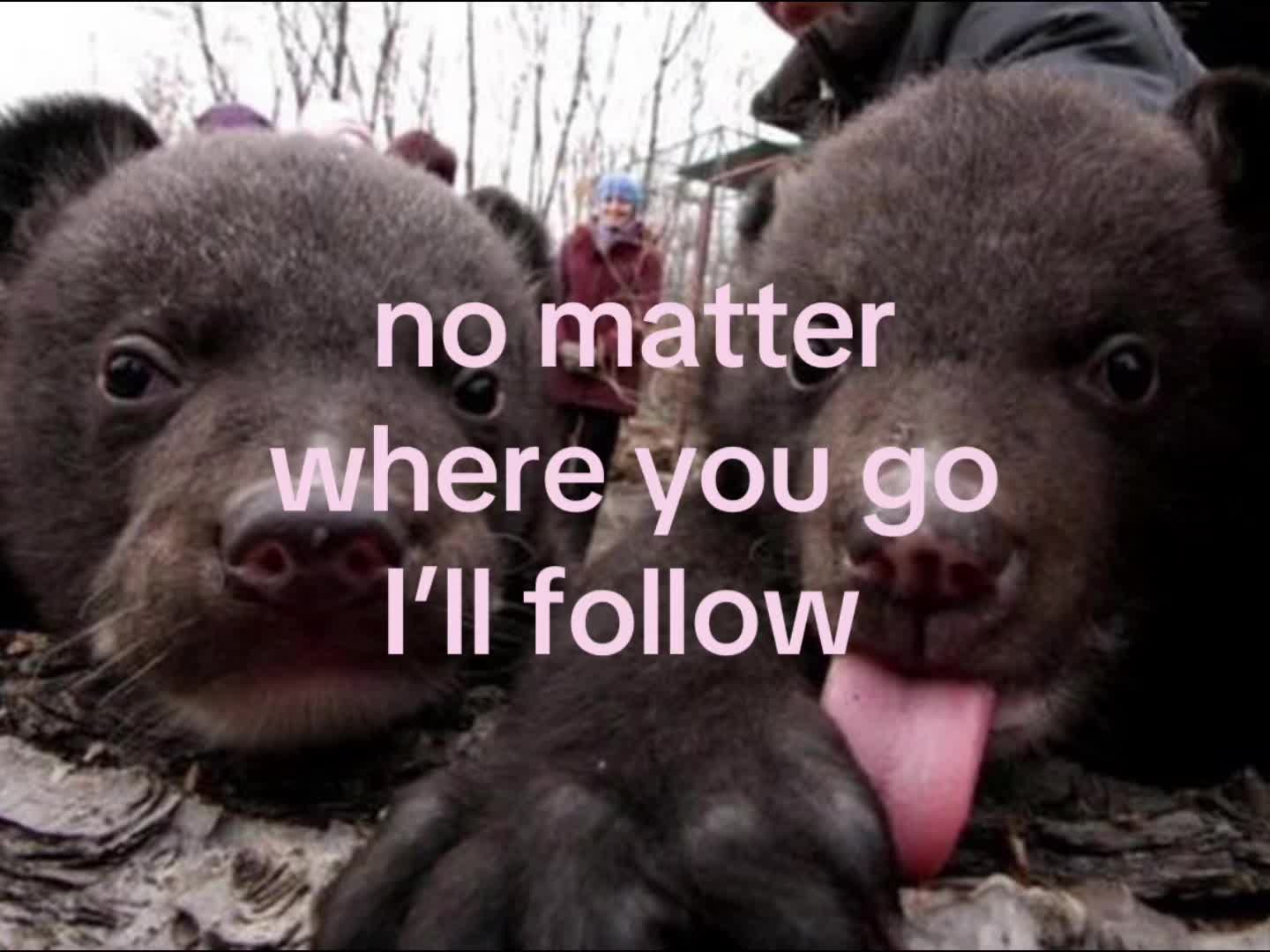 @noiseybabe