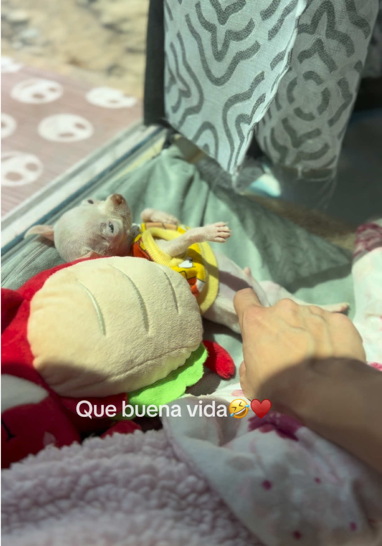 @Alexa Mercado