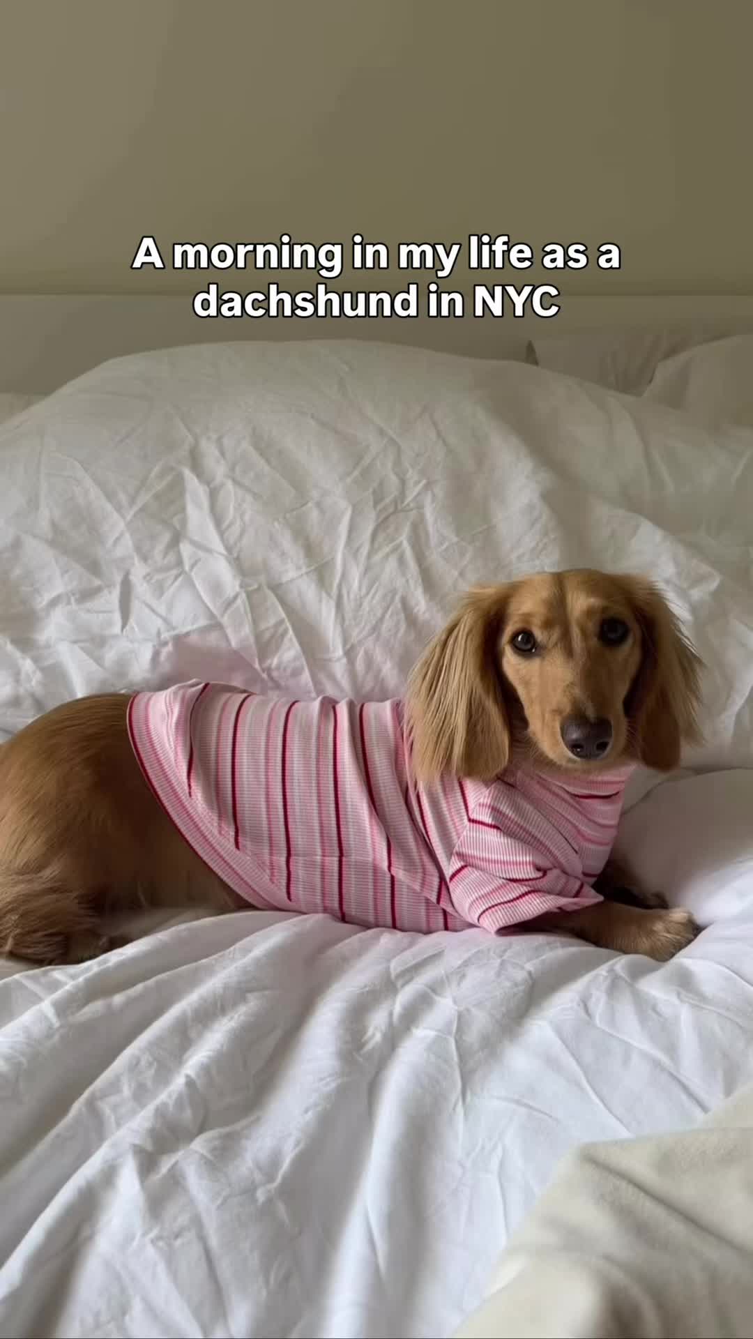 @Beth (NYC)