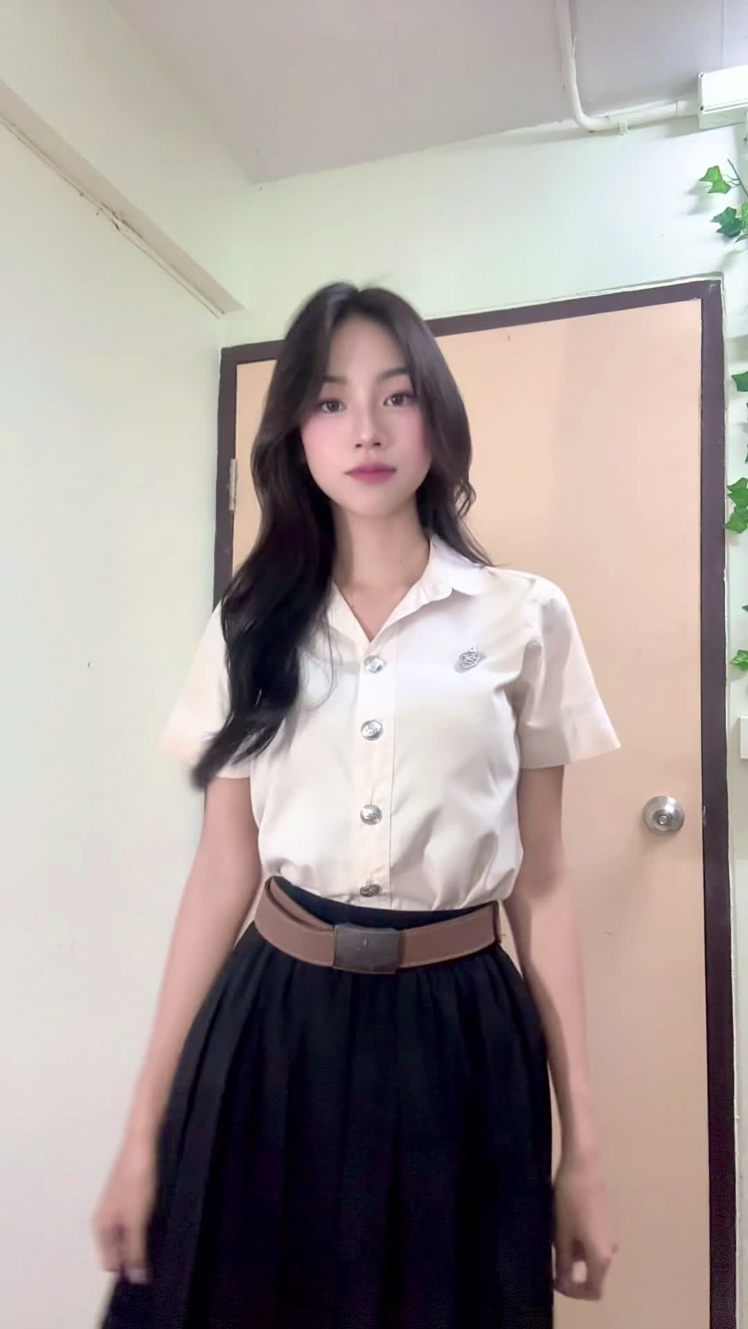 @แมววีน
