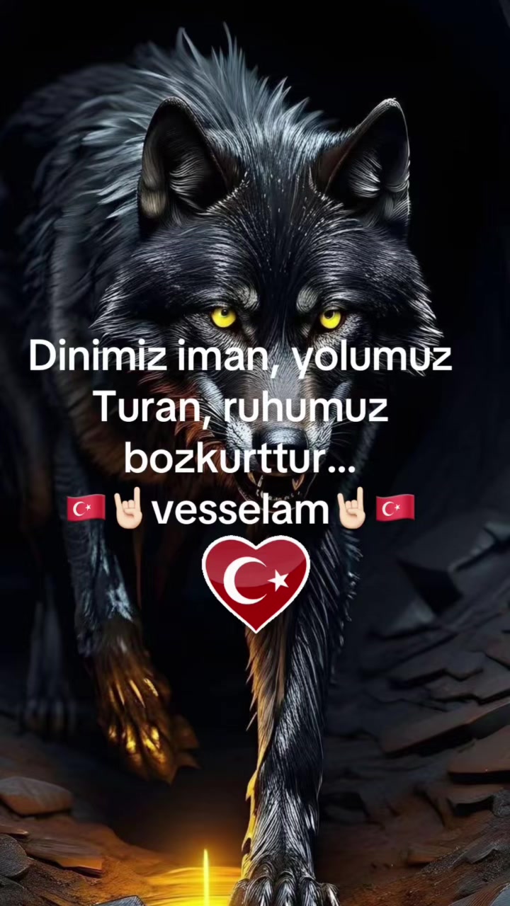 @dilavereryilmaz