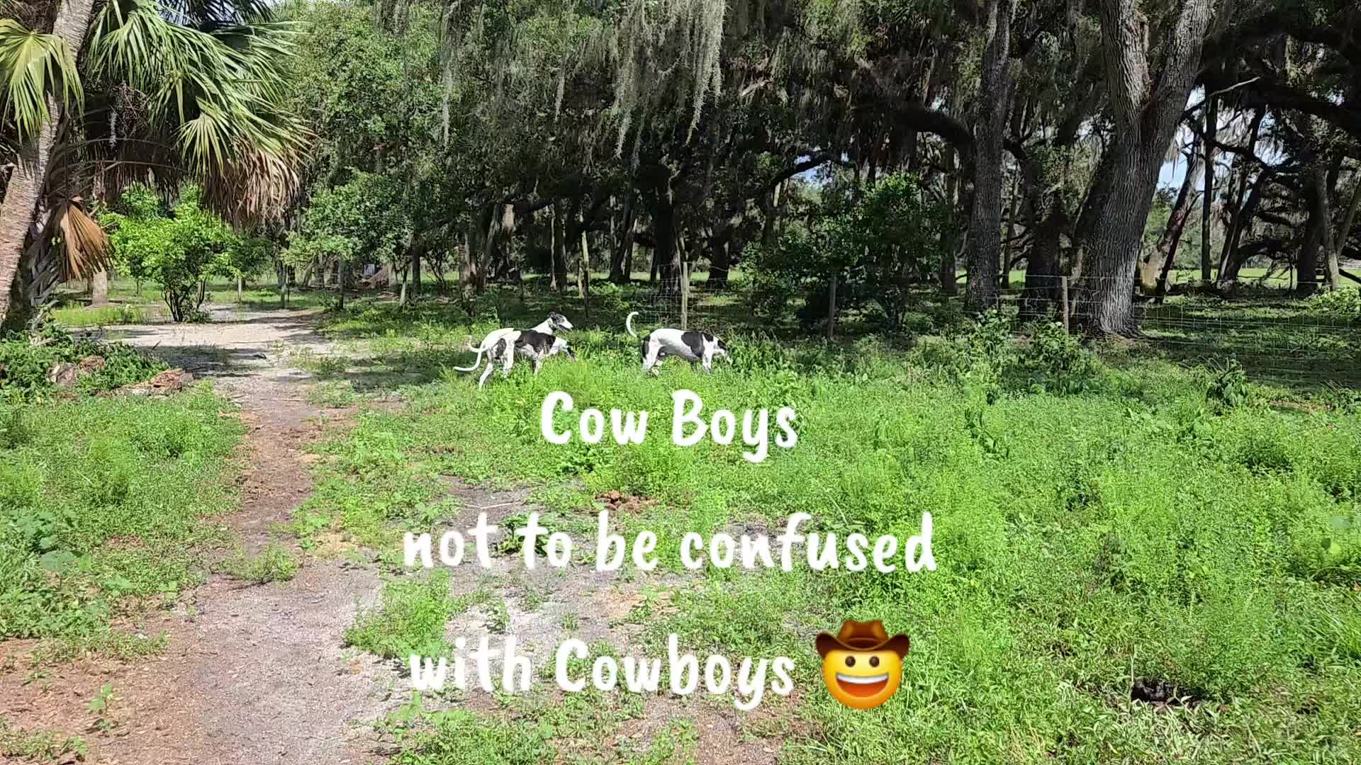 @BeniTheRetiredRacer