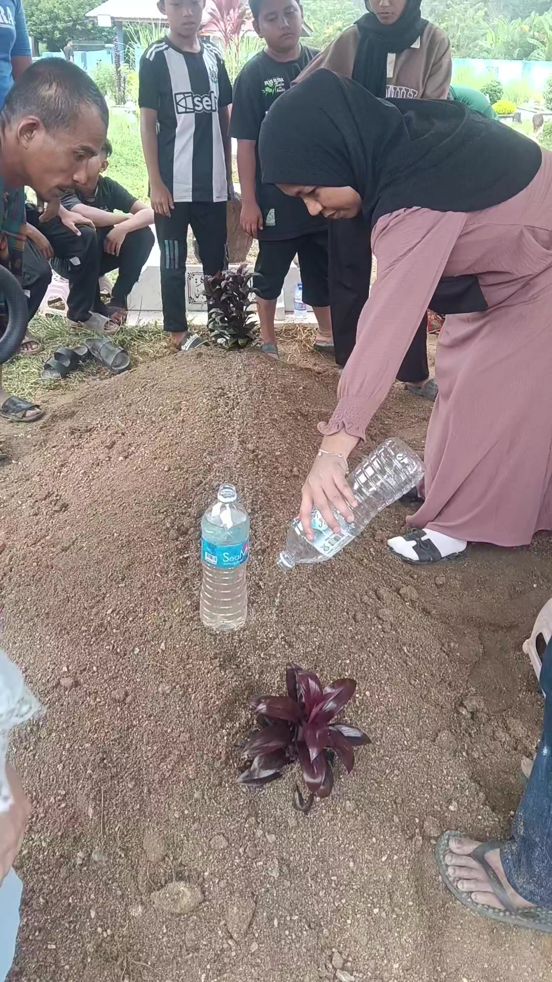 @Mahani