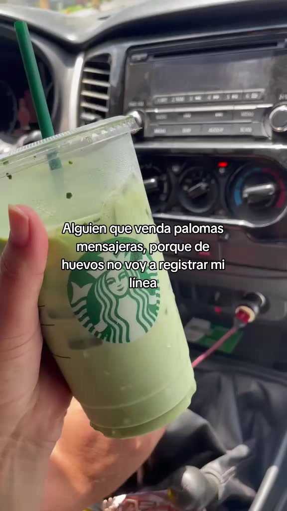 @Luz Llamas