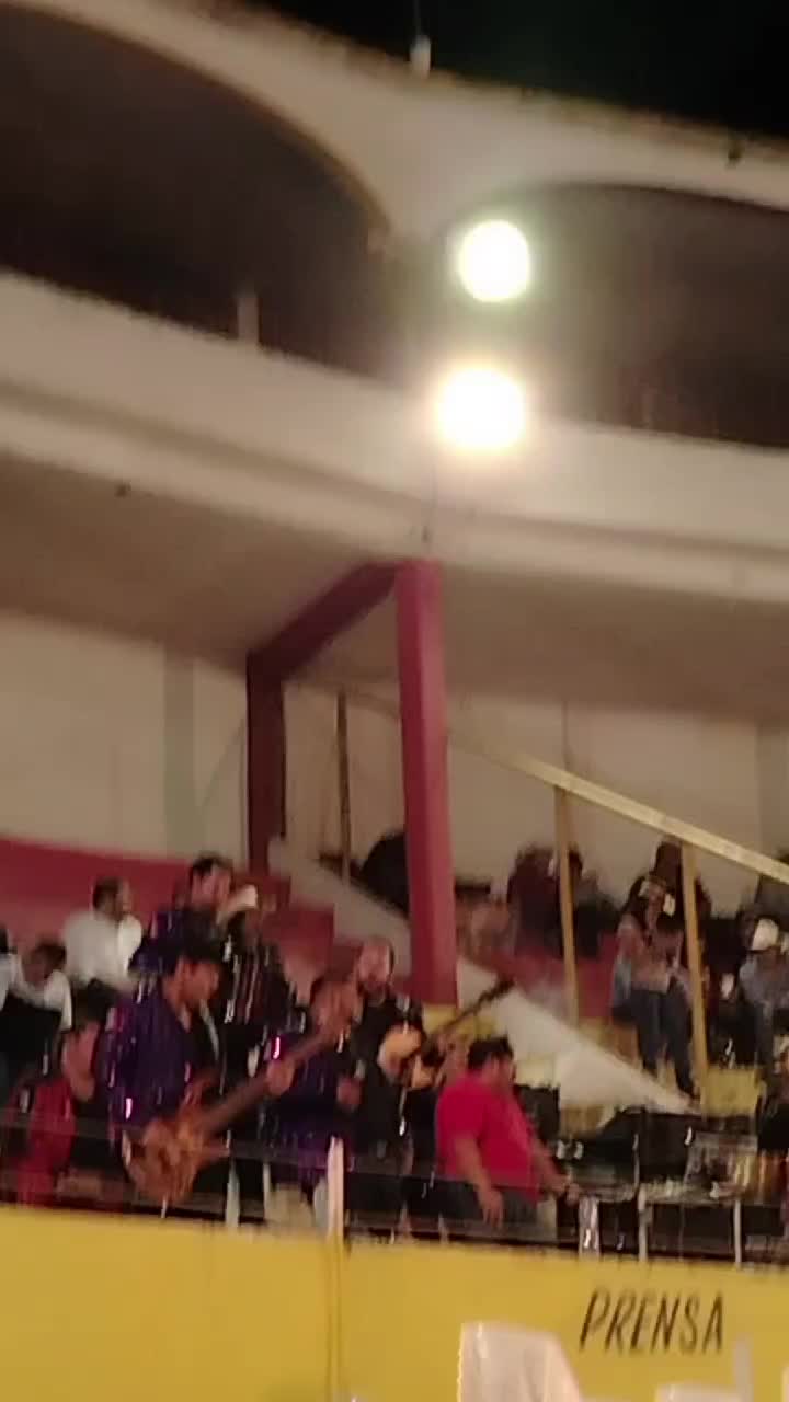 @alejandra sanchez