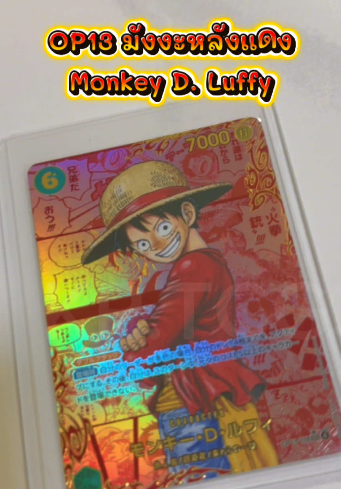 @KP.TCG13