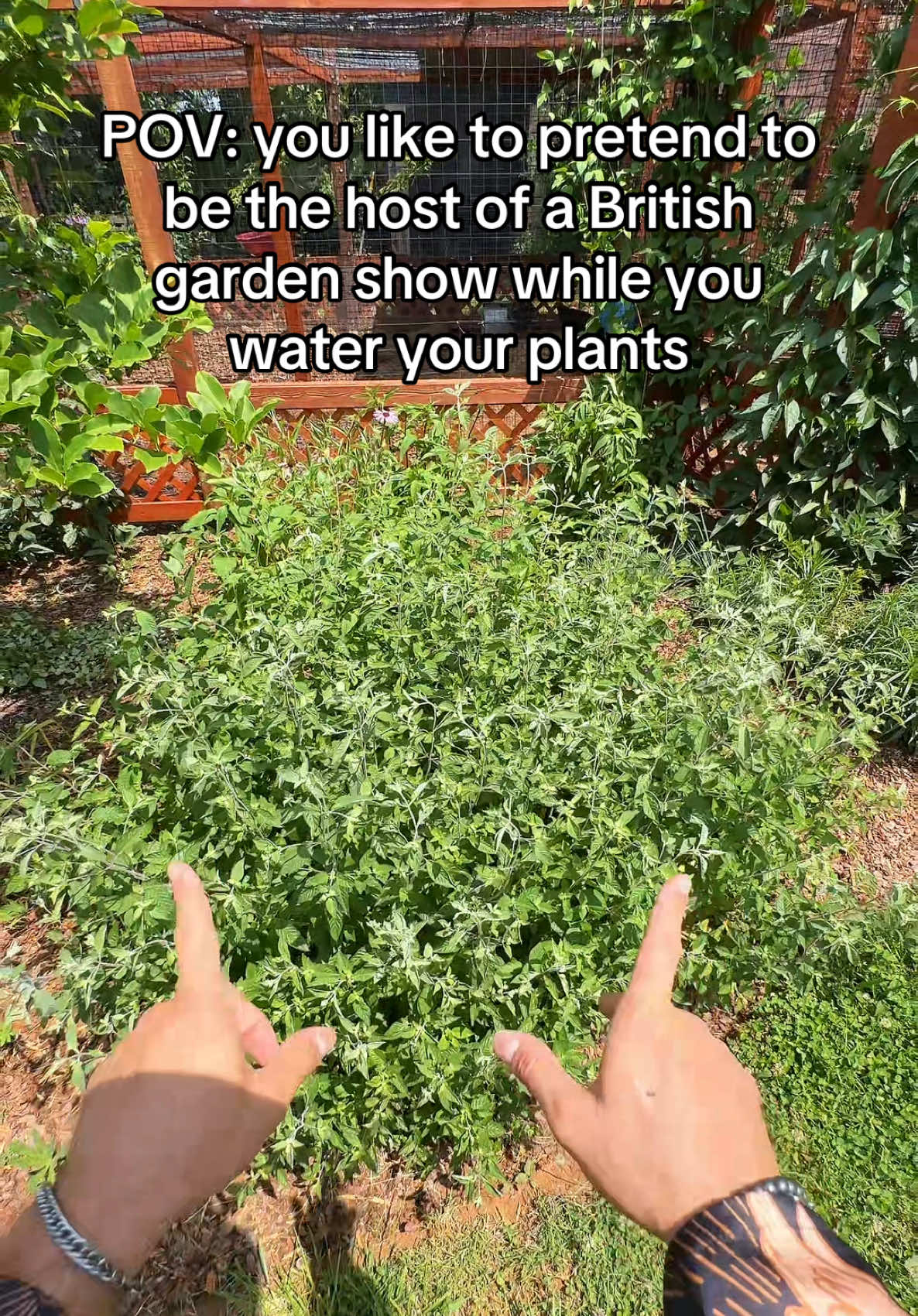@redleafranch