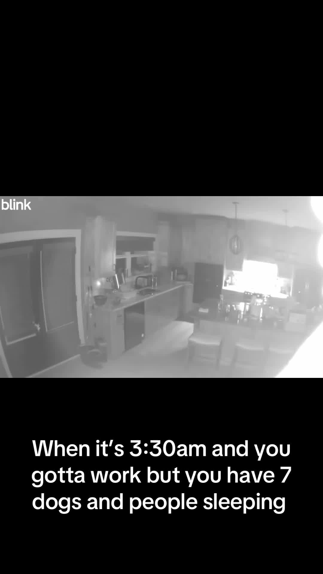 @Emilee LaFollette