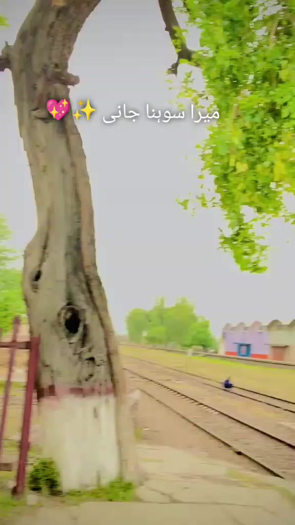 @بلال وسیر✨