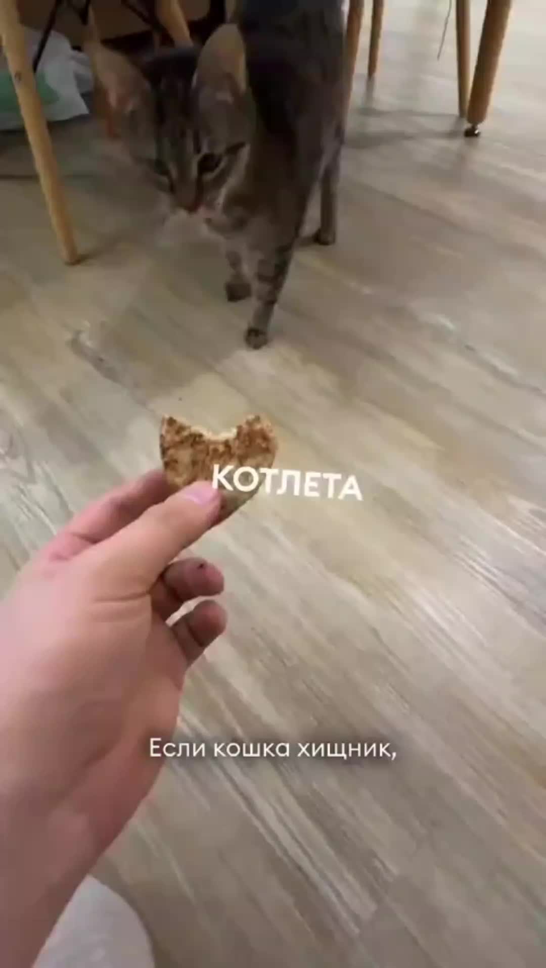 @mon1ster