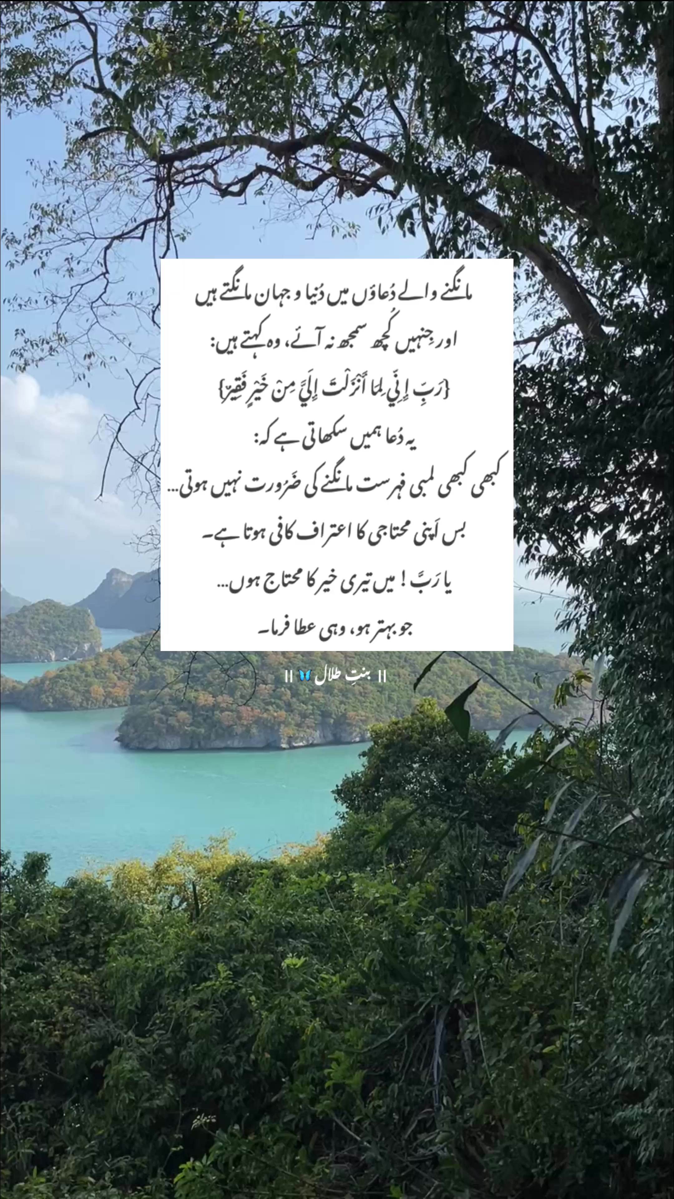 @🦋 بنتِ طلال
