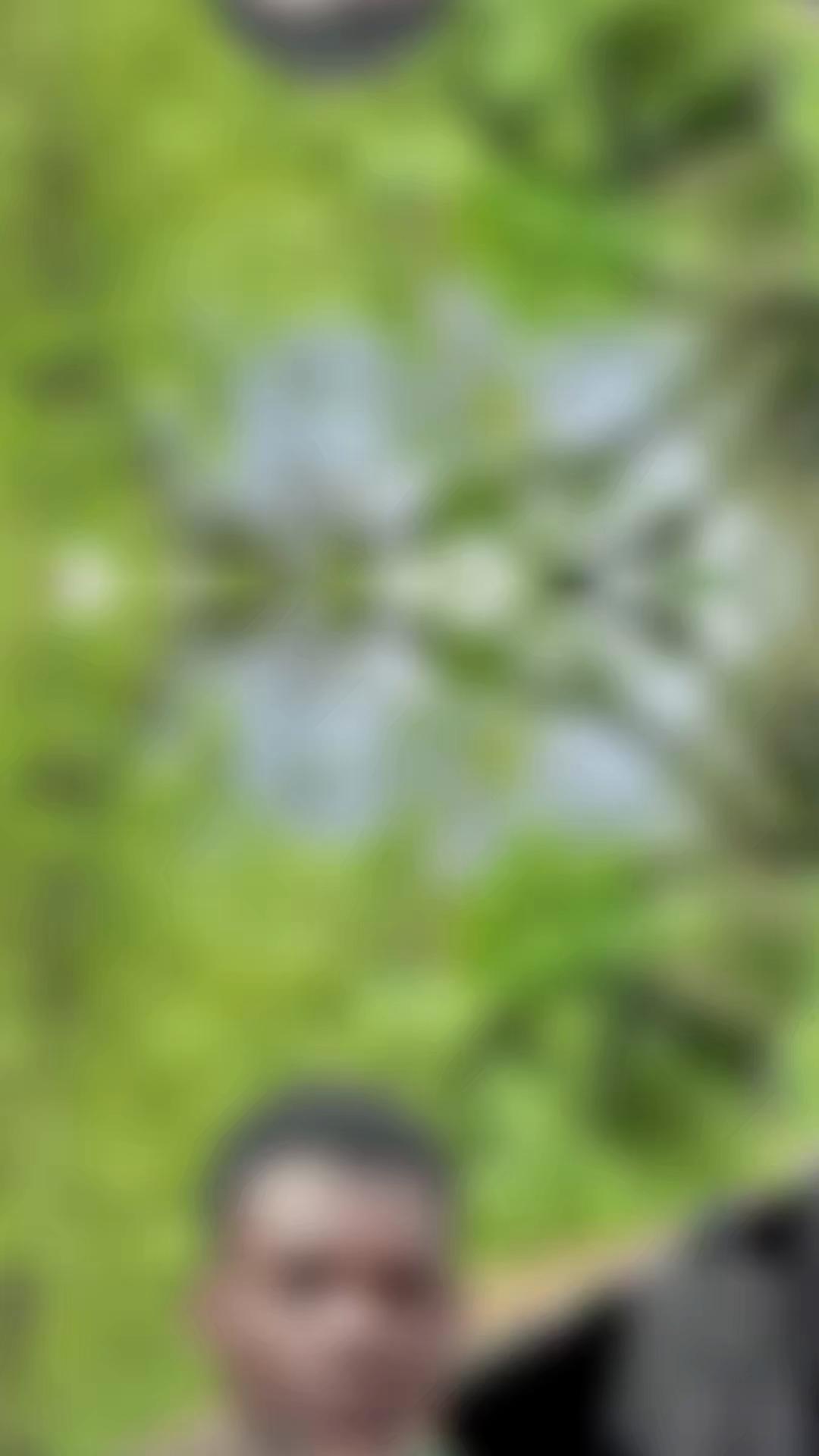 @๐๐๐๐๐๐๐๐๐ ๐ฑ๐ก๐๐๐ฅ