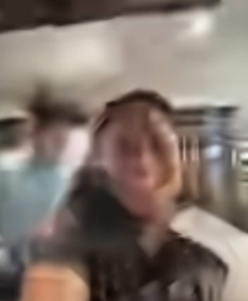 @ᓚᘏᗢ