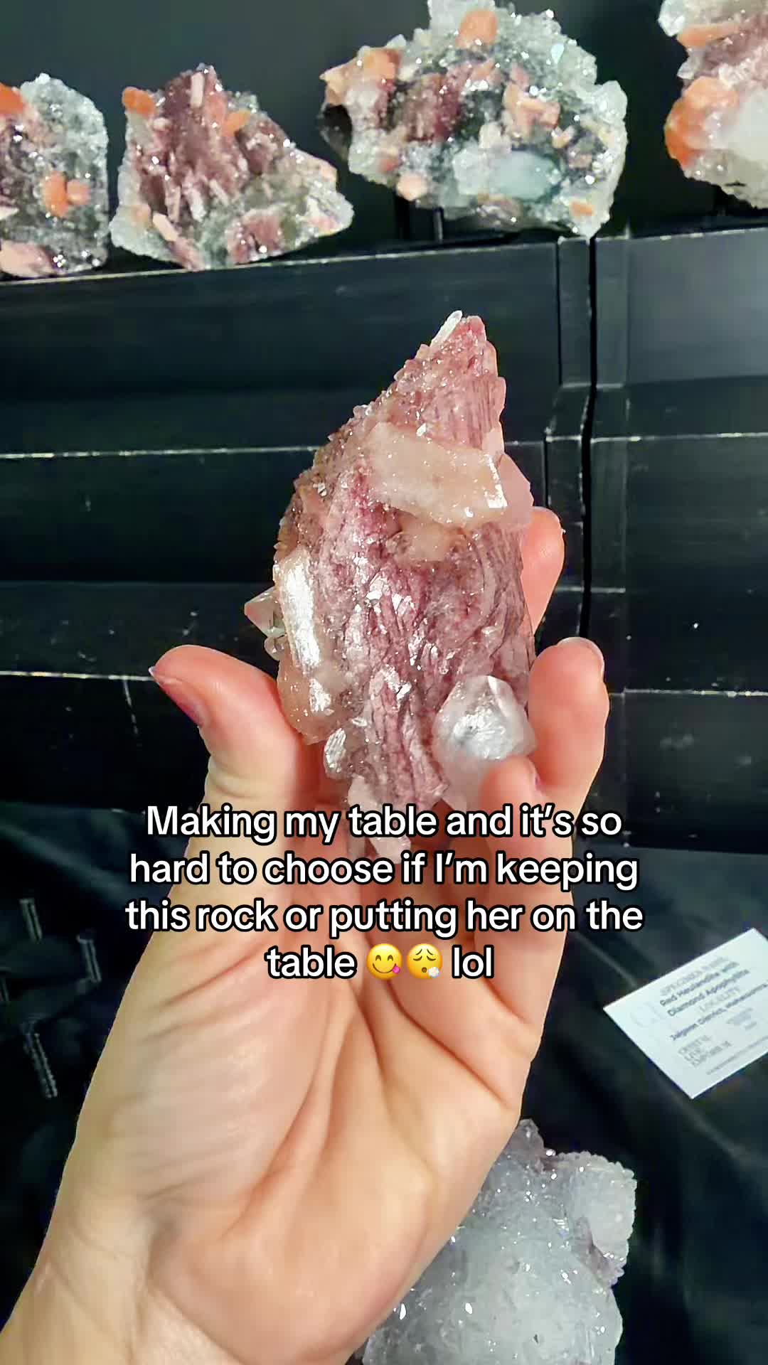 @Crystal Live Emporium✨Natalie