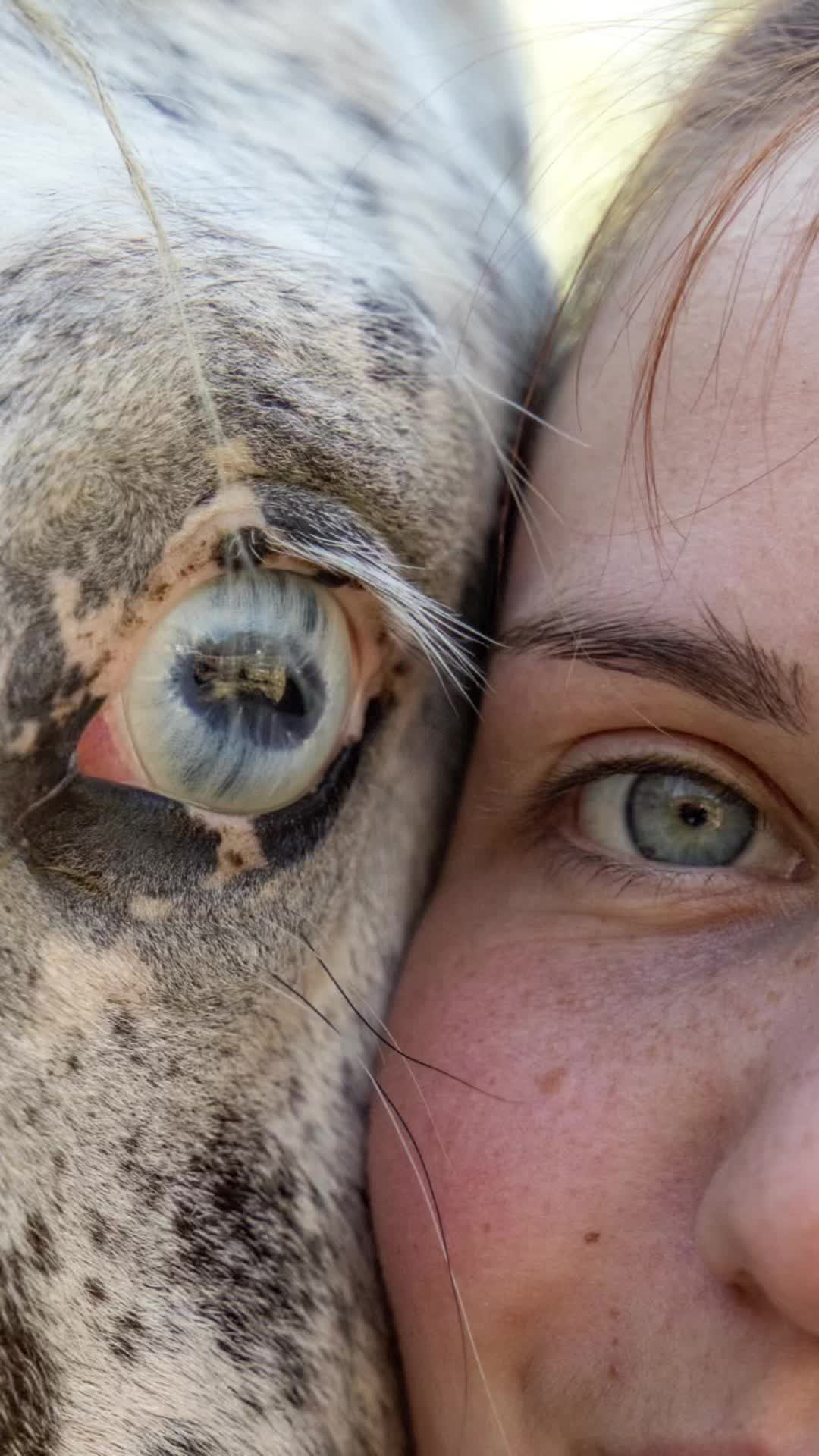 @shoot_equestres