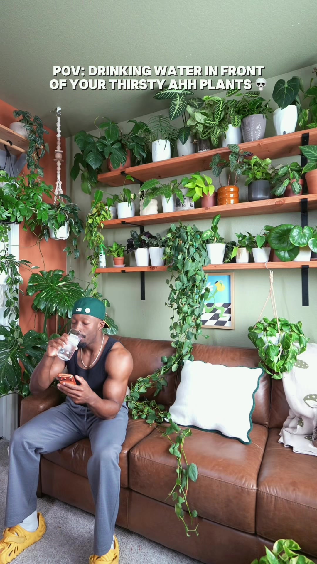 @PLANT DADDY KOSS