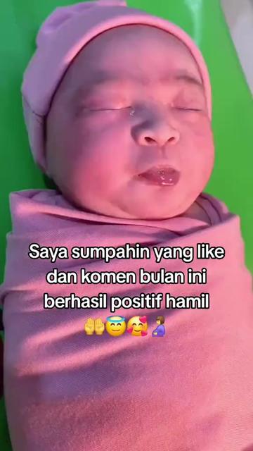 @inspirasi.program.hamil