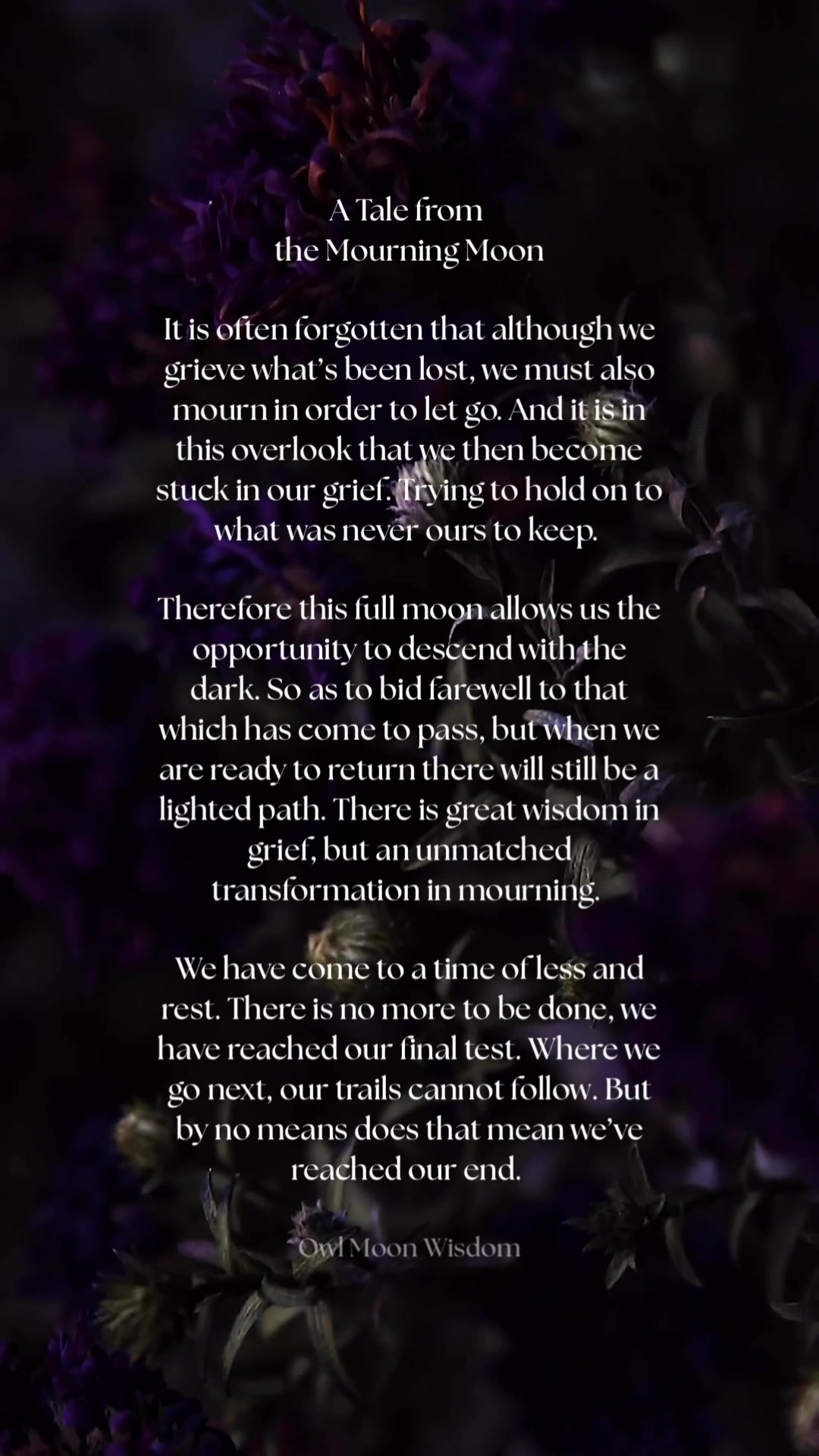 @owlmoonwisdom