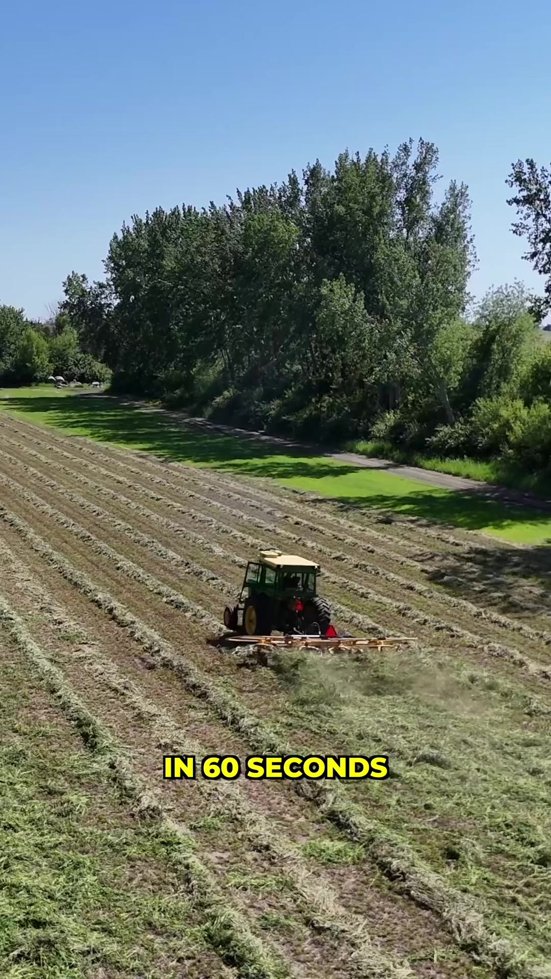@Hilbert Farms